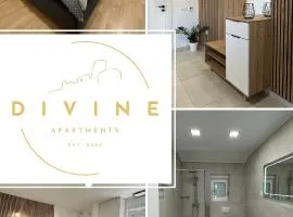 Divine Apartment Drnis