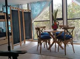 Apartamento en la Roma Sur, céntrico, bellísimo.