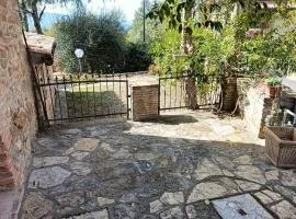 Trame di luce