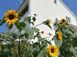 Apartments Nikola Stipišić