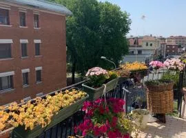 Casa Biancola, Novara Centro