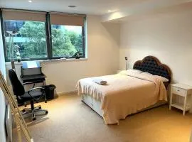 Spacious Queen Bed City Centre Penthouse With Balcony - Homeshare - Live In Host