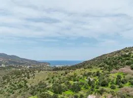 Olive Guesthouse Junior