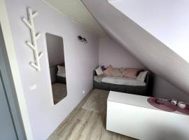 Small & Cozy Studio Apartment - WiFi & Free Parking, parkolóval rendelkező hotel Raplában