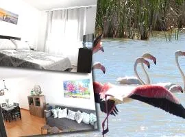 Dúplex en Delta de l'Ebre con dos terrazas y balcón