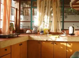 kfar Navon