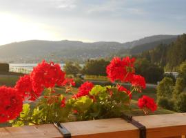 Gérardmer : appartement 43m2, classé 3*, vue lac, hotel a Gérardmer