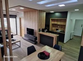 Serbian home - 44, Gandijeva 184