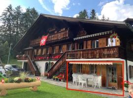 1 room apt, kitchen, patio, in beautiful chalet, hotel a Les Diablerets
