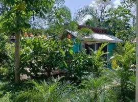 El Tucán Feliz - Jungle tiny guest house by Playa Cocles