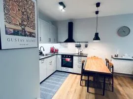 BoleslaviaApartments - Apartament Merci 4, private parking free, air condition