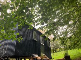 Cornwall Woodland Dog Friendly Shepherd's Hut، شقة في بودمين