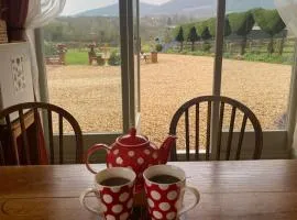 Myrtleberry Studio BnB