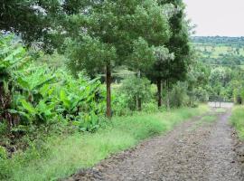 Banana Hills Haven, apartment in Narok