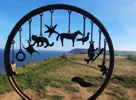 Mad Alice's Cottage, Saltburn