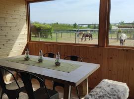 Bosquey Ranch B&B, hotell sihtkohas Alice Castello