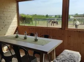 Bosquey Ranch B&B