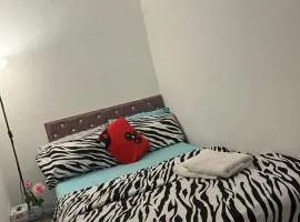 MY STAY