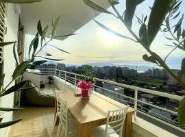 HARMONY HOME
