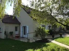 Charmante maison Touraine avec jardin clos près d'Amboise - FR-1-381-377