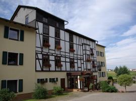 Hotel in der Mühle, hotel with parking in Werdau