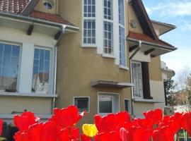 Villa Zouzou Bed and Breakfast, hotel with parking in Vittel