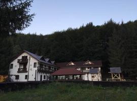 Conacul Dascalu, casa de hóspedes em Trăisteni