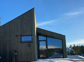 Norefjell, ny flott hytte til leie, semesterhus i Surteberg