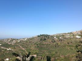 Casa Bela Vista Studio 1, guest house in Ribeira Brava