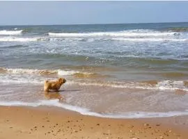 Amazing Family Cottage Just mins to Beach & Attractions, 3 bed, Sleeps 5, Large Garden, Off Road Private Parking, Fab Free WiFi & Pets are Welcome too! The Perfect Family holiday Getaway!