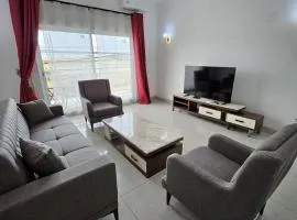 Octave's APT