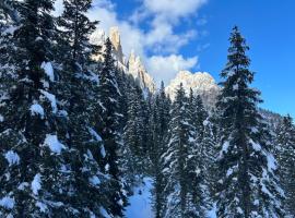 Fedaia Joy B&B: Canazei şehrinde bir otel