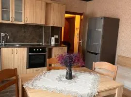 Apartament Marinela 2