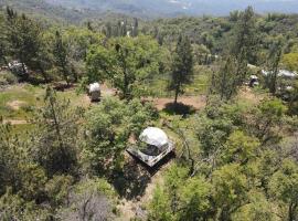 Enchanted Forest Dome ,10-15 minutes to Kings Canyons, luxury tent in Dunlap