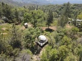 Enchanted Forest Dome ,10-15 minutes to Kings Canyons-New pellet stove for cozy warm nights