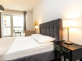 Walter Studio Sinaia with Balcony and Private Parking