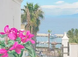 Euploia Apartment