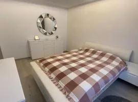 Apartament Teodora