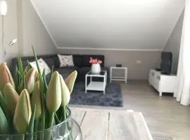 Apartment in Sasbach - Jechtingen