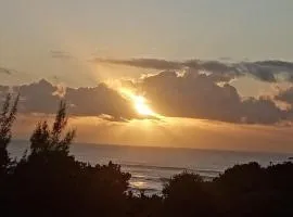 Utopia in Palm Beach