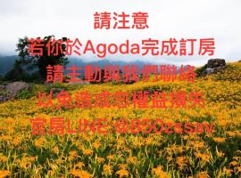 Lin Tea B&B, hotel v mestu Ruisui