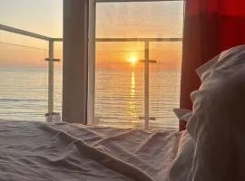 holiday shengjin kune