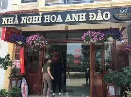 Hoa Anh Đào Sapa Hostel - by Bay Luxury