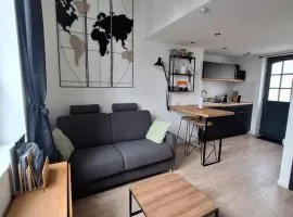 Logement indépendant "Le Figuier" TREVOUX climatisée
