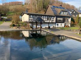 Zur Clemens Hütte, hotel with parking in Drolshagen