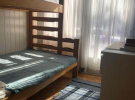 Rena Hostel, pet-friendly hotel in Rena