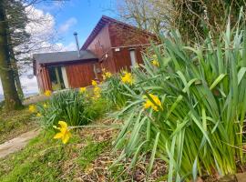 Ballyhoura Mountain Lodges, Ferienhaus in Ballyorgan