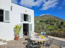 Villa Margot - Authentic seaview countryside villa & apartments