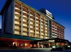 Ooedo Onsen Monogatari Premium Kinugawa Kanko Hotel