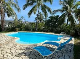 Villa Baleine Bleue piscine&vue
